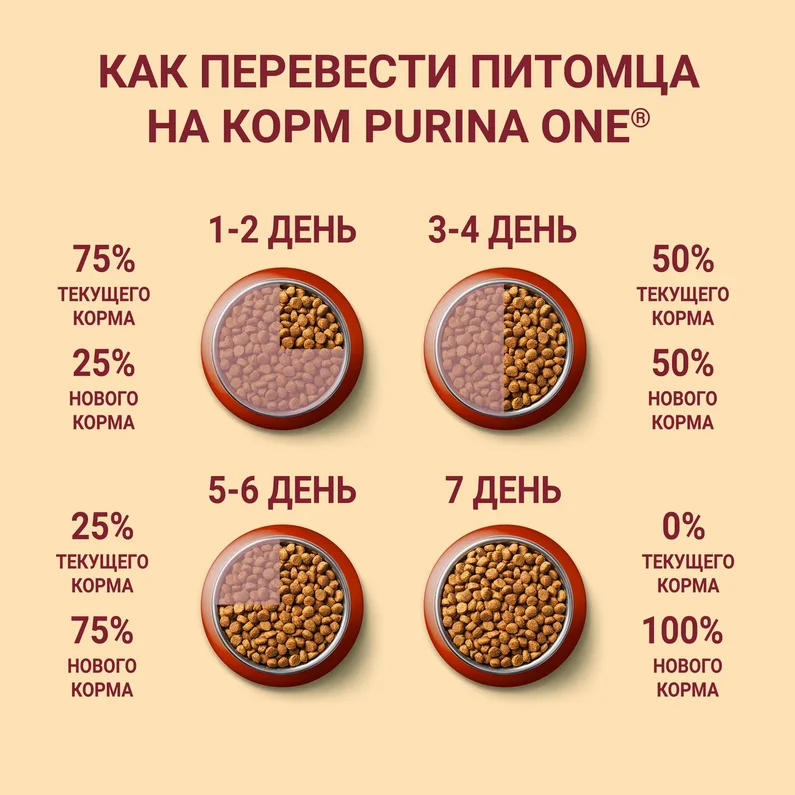Корм PURINA ONE для взрослых собак средних и крупных пород, с высоким содержанием говядины и с рисом (10 кг)