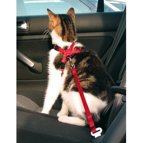 Trixie Trixie автомобильный ремень безопасности со шлейкой для кошки, 20-50 см (120 г) цена и фото