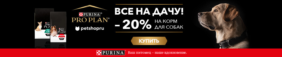 -20% на продукцию Purina Pro Plan!