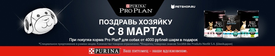 При покупке корма Purina Pro Plan - шарм с собакой в подарок!
