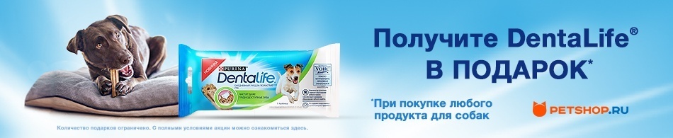Получите Dentalife в подарок!