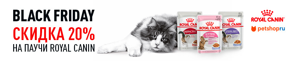 Скидка 20% на паучи от Royal Canin