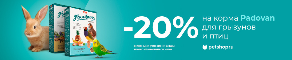 Скидка 20% на корма Padovan Grandmix для грызунов и птиц