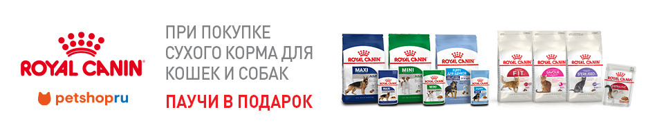 Паучи в подарок при покупке сухого корма Royal Canin!