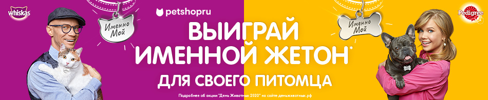 Выиграй именной жетон для своего питомца!