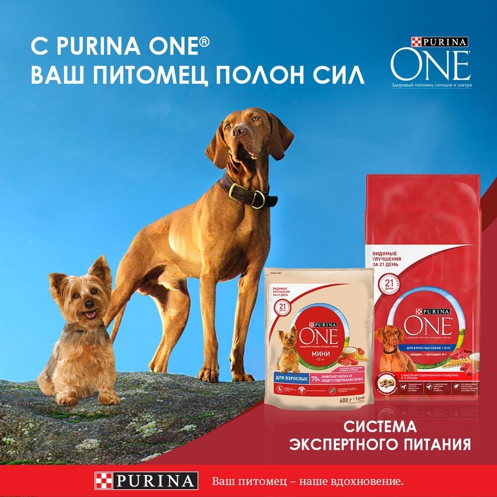 Корм Purina One для взрослых собак средних и крупных пород, с высоким содержанием говядины и с рисом (3,8 кг) 