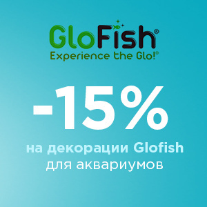 Скидка 15% на декорации Glofish для аквариумов! Скидка 15% на декорации Glofish для аквариумов!