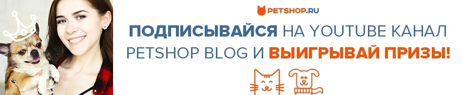 Подписывайся на Youtube-канал Petshop Blog и выигрывай призы!