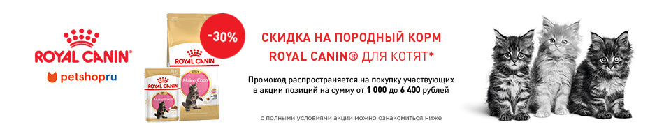 -30% на корм для породистых котят Royal Canin!