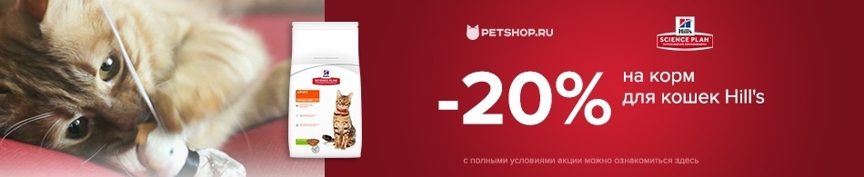 Скидка 20% на корм для кошек Hill`s