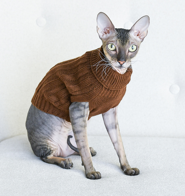 Lelap одежда Lelap одежда свитер для кошек и собак Libre коричневый (M)