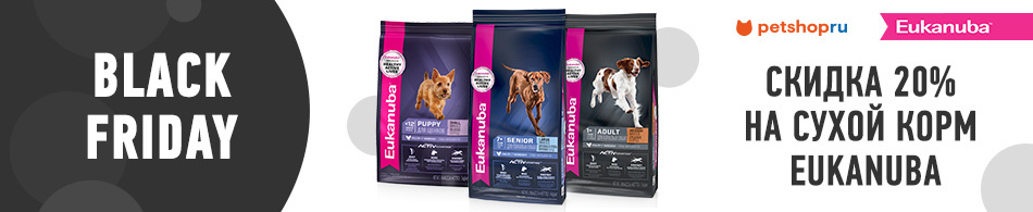 -20% на корма Eukanuba!