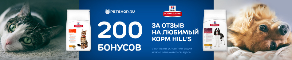 Получи 200 бонусов на счет за отзыв!