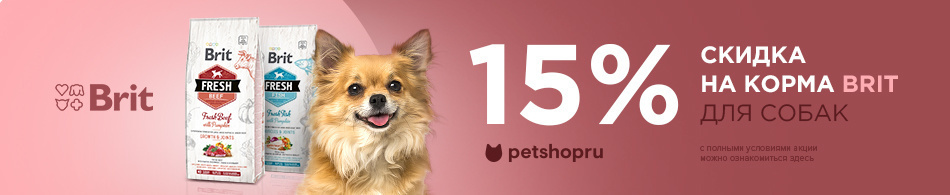 -15% на корма для собак Brit