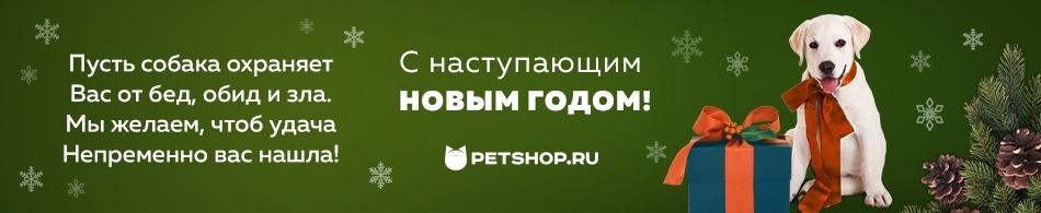 Поздравляем с наступающим Новым 2018 Годом!