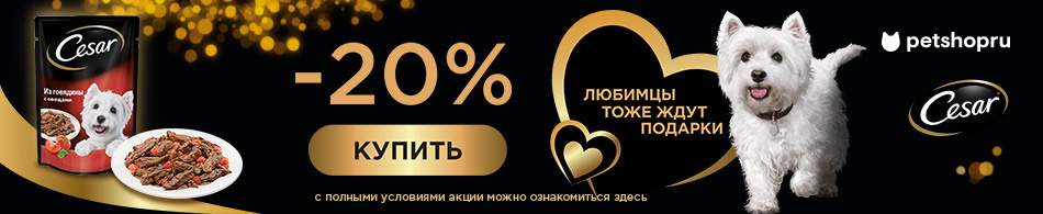 -20% на паучи Cesar
