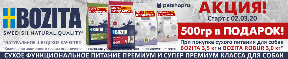-15% на корма Bozita для собак!