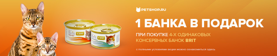 Банка влажного корма в подарок!