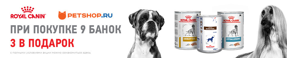 Консервы в подарок от Royal Canin!