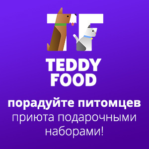 Порадуйте питомцев приюта подарочными наборами! Порадуйте питомцев приюта подарочными наборами!