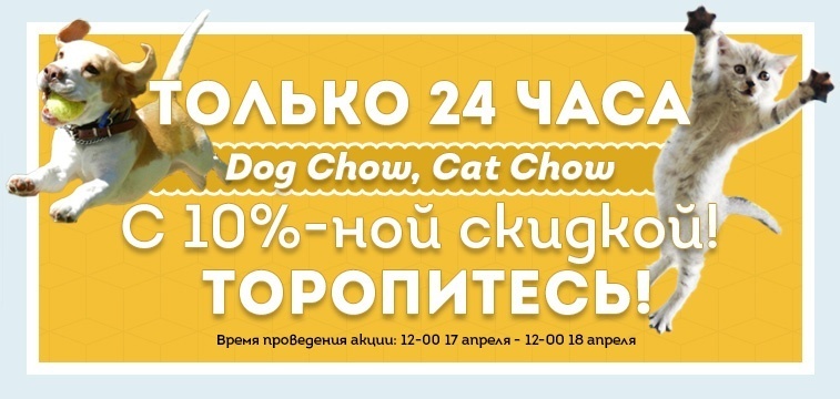 Анонс акции! Только 24 часа скидка 10% на корма Dog Chow, Cat Chow!