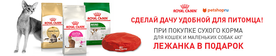 Лежанка от Royal Canin в подарок!