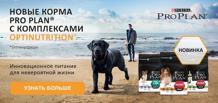 Смена упаковок корма PRO PLAN для собак!