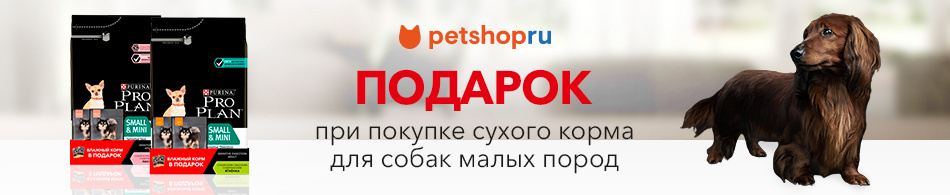 Паучи в подарок при покупке сухого корма для собак малых пород!