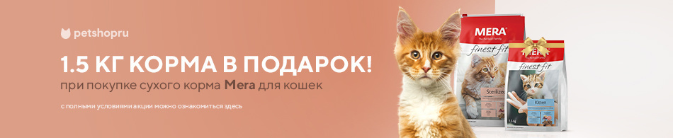 При покупке сухого корма для кошек Mera - мешок корма для котят в подарок!