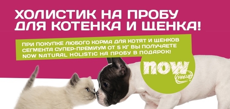 Холистик на пробу для котенка и щенка!