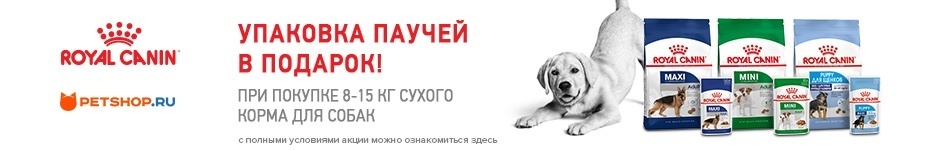 Упаковка паучей Royal Canin в подарок!