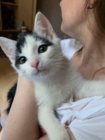 Доставка корма для животных на дом омск