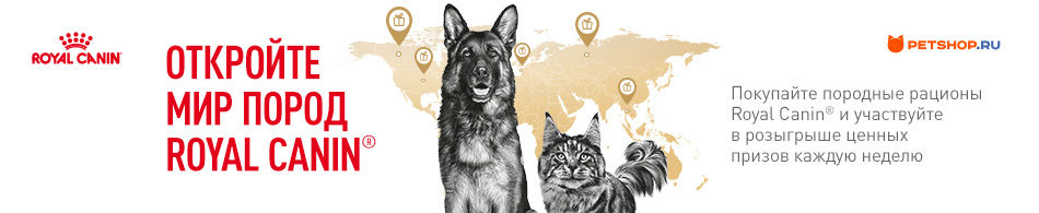 Откройте мир пород Royal Canin