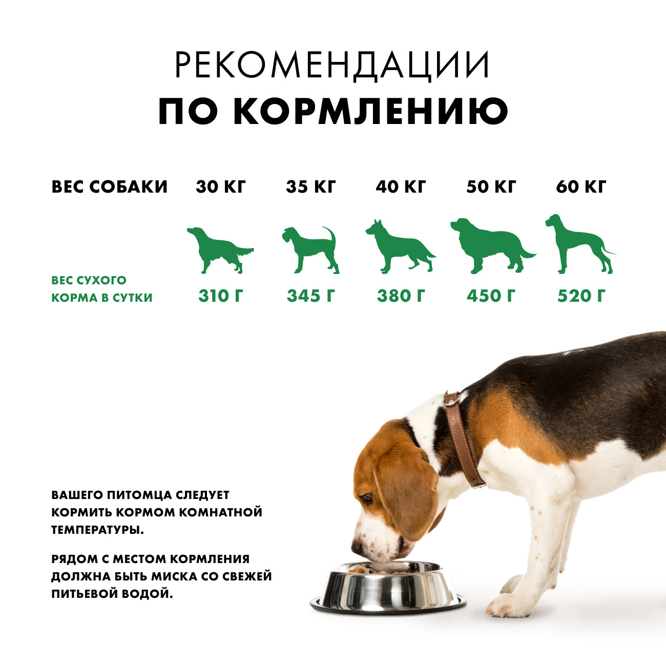 Корм Nutro для взрослых собак крупных пород, с ягнёнком и экстрактом розмарина (2,8 кг) 