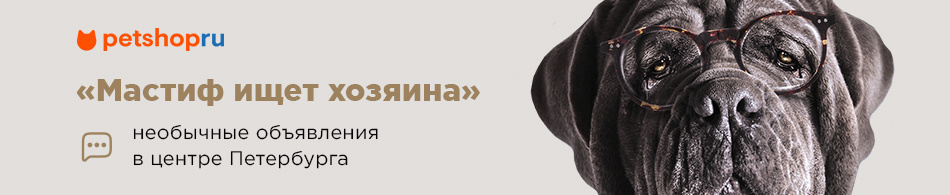 Моя собака Идиот