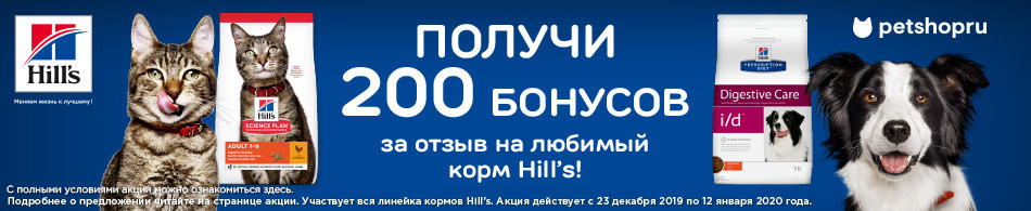200 бонусов за отзыв!