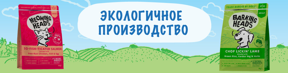 Слайд номер 3