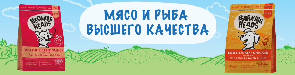 Слайд номер 0