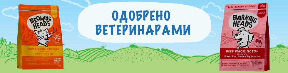 Слайд номер 2
