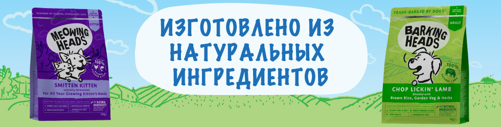 Слайд номер 1