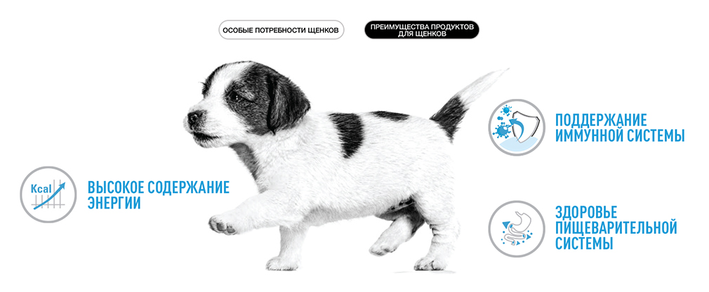 преимущества корма Royal Canin для щенков