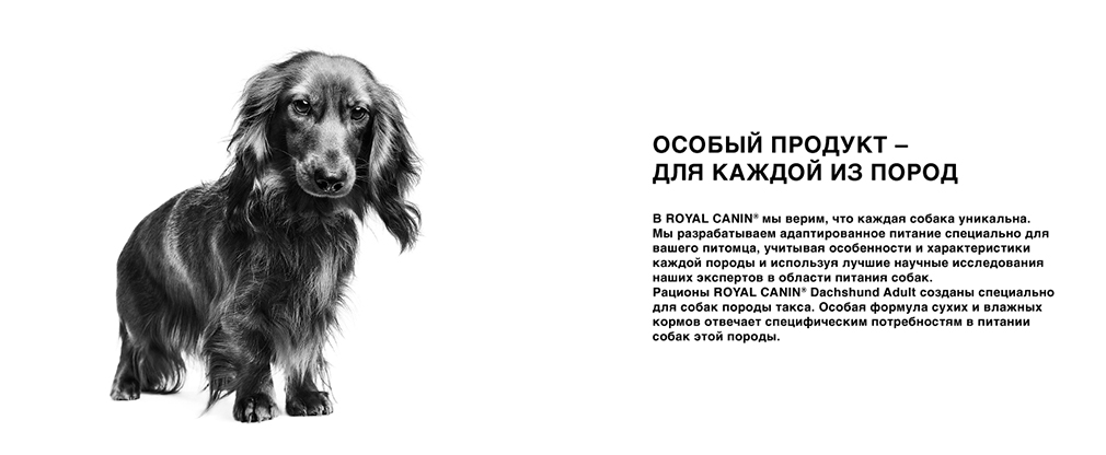 особый корм Royal Canin для каждой породы