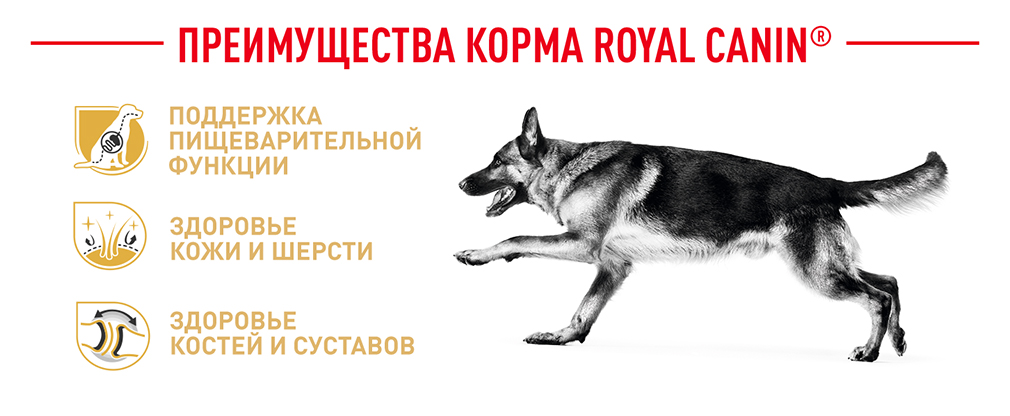 преимущества корма Royal Canin