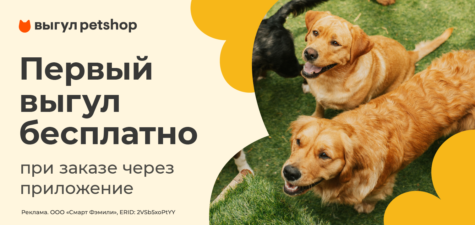 Первый выгул бесплатно при заказе через приложение!