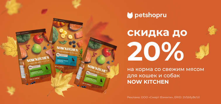 Скидка до 20% на корма со свежим мясом для кошек и собак NOW KITCHEN 698