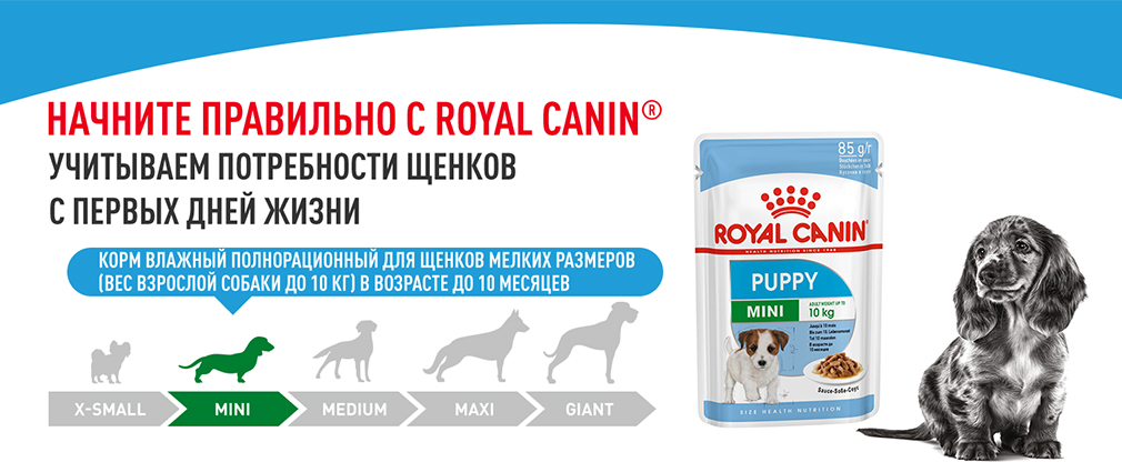 начините правильно с Royal Canin