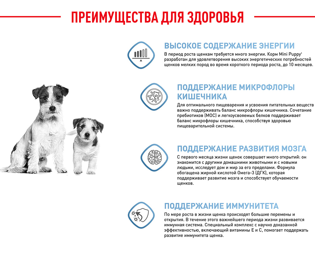 Корм Royal Canin корм сухой полнорационный для щенков мелких пород в  возрасте до 10 месяцев, роял канин для щенков, royal canin для щенков,  royal canin puppy, роял канин паппи, роял для щенков,