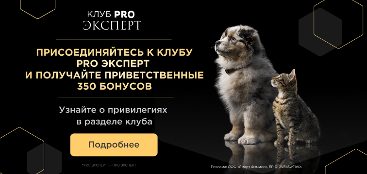 Начисление повышенного кэшбека 350 баллов за вступление в клуб PRO ЭКСПЕРТ 709 Начисление повышенного кэшбека 350 баллов за вступление в клуб PRO ЭКСПЕРТ 709