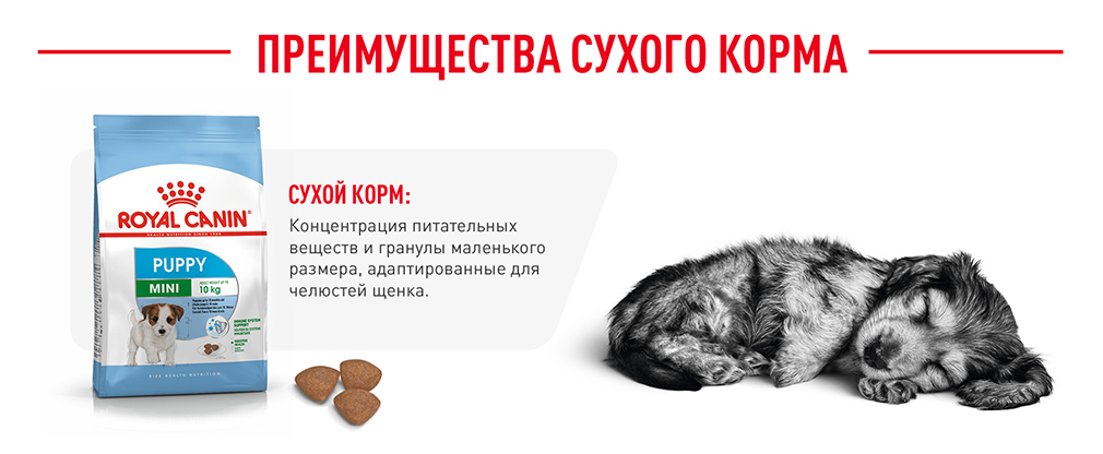 преимущества сухого корма Royal Canin