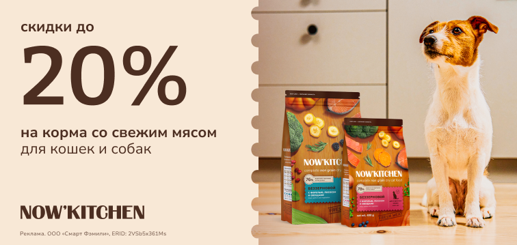 Now Kitchen: Скидка до 20% на корма со свежим мясом для кошек и собак 754 Now Kitchen: Скидка до 20% на корма со свежим мясом для кошек и собак 754